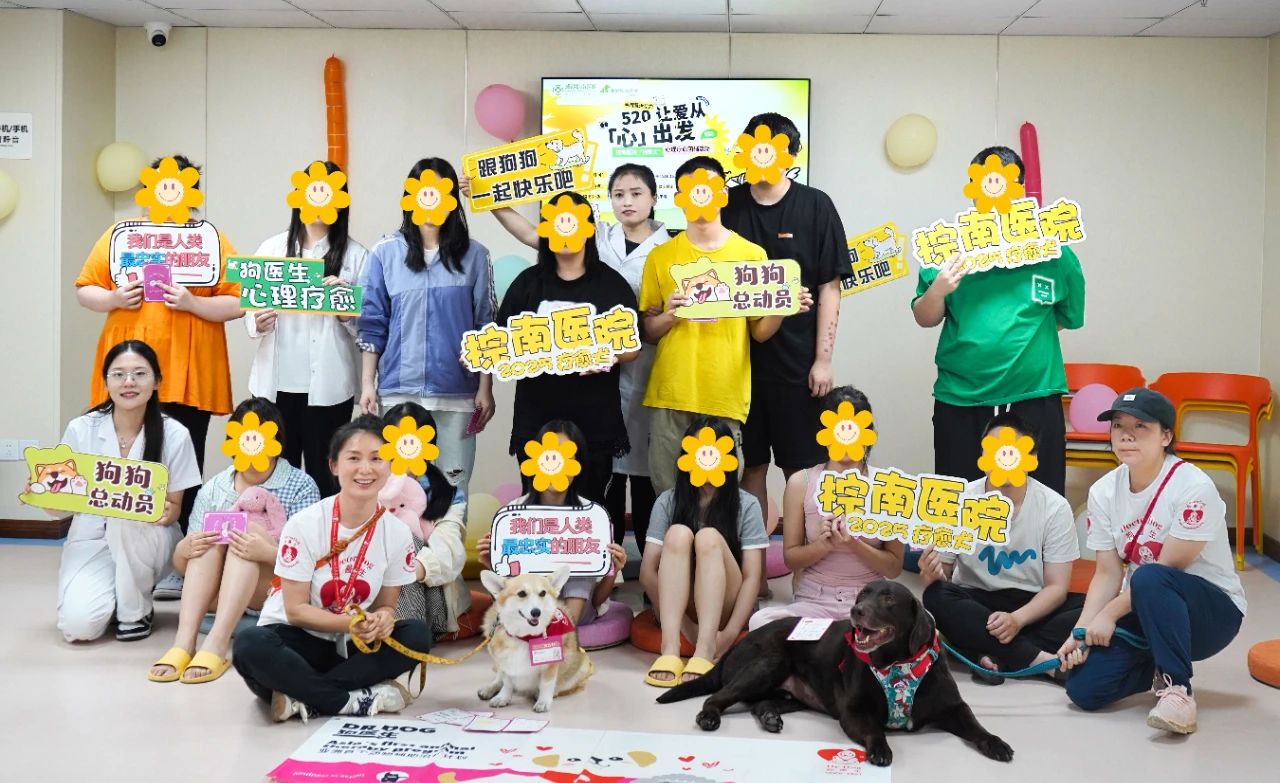【萌宠医生 爱心治愈】 成都棕南医院520“狗医生”心理疗愈团辅活动-成都棕南医院_成都精神病医院